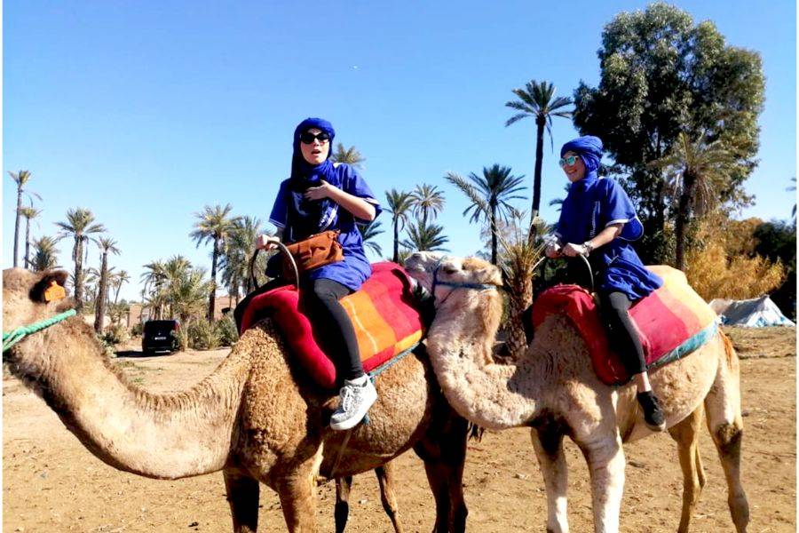 Buggy-, kameel- en spa-ervaring in Marrakech