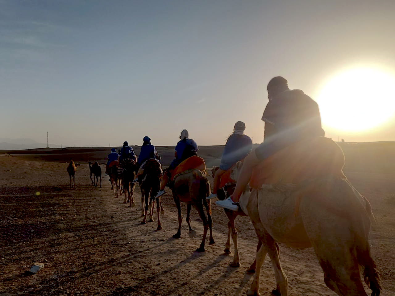 Camel Ride & Quad Bike Experience in Agafay Rocky Desert