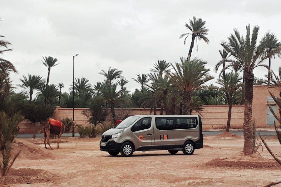 Kameelrit en quad in Marrakech Palmeraie