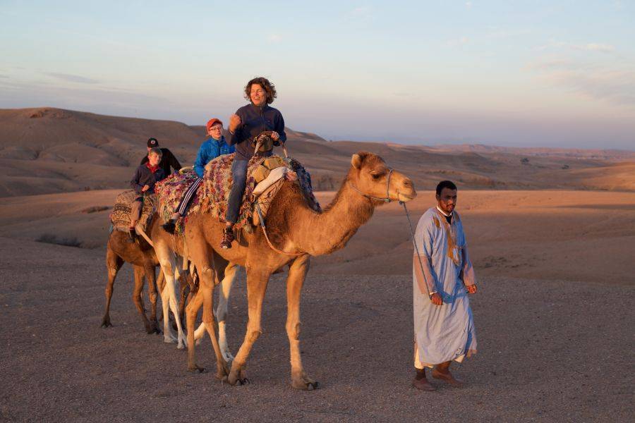 Camel Ride & Quad Bike Experience in Agafay Rocky Desert