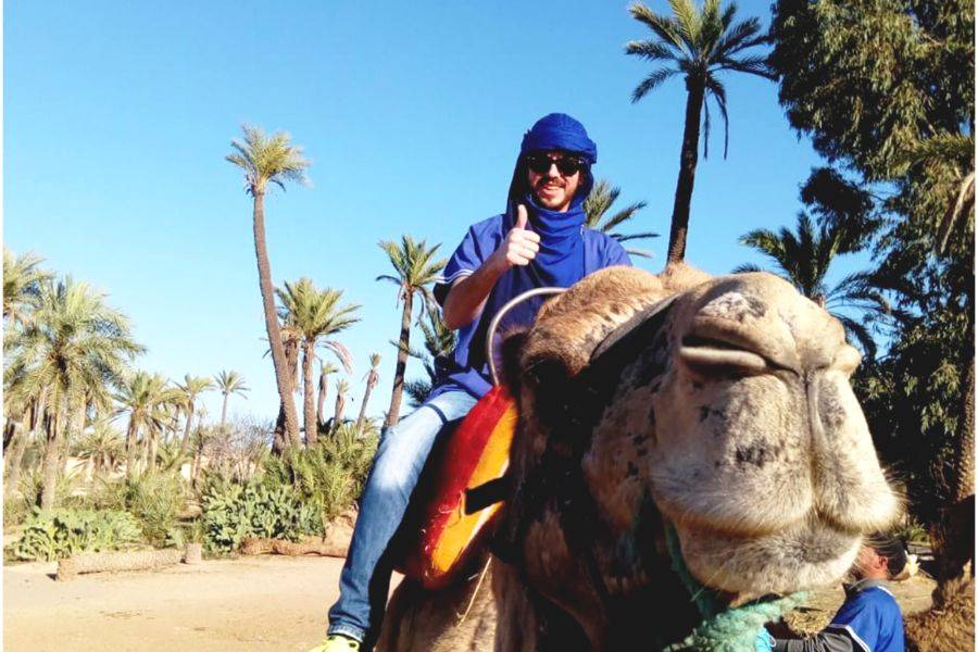 Majorelletuin met een kameelrit in de palmen