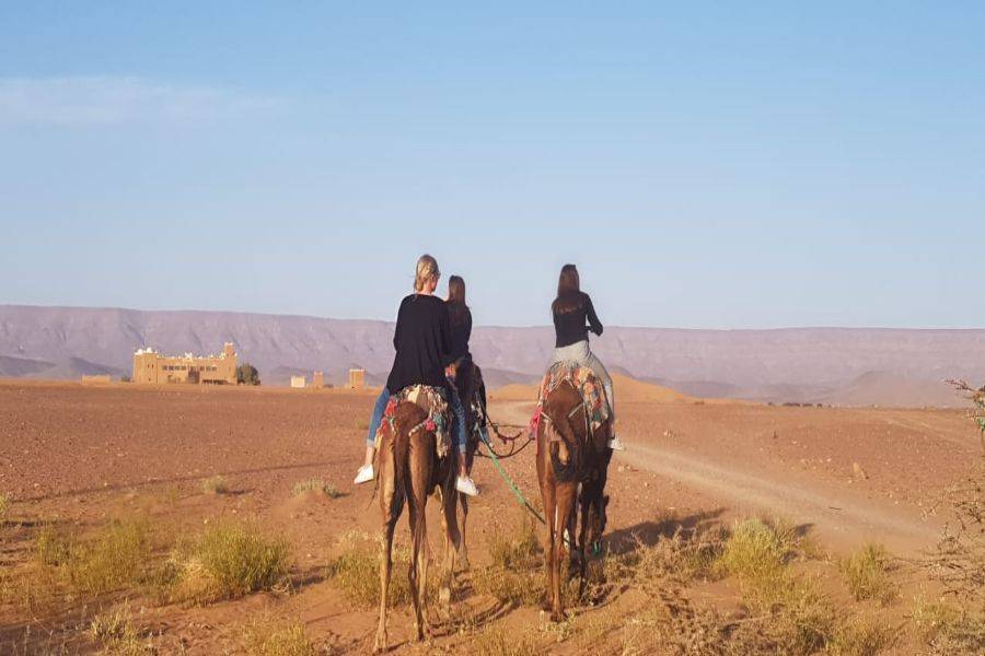 Camel Ride & Quad Bike Experience in Agafay Rocky Desert
