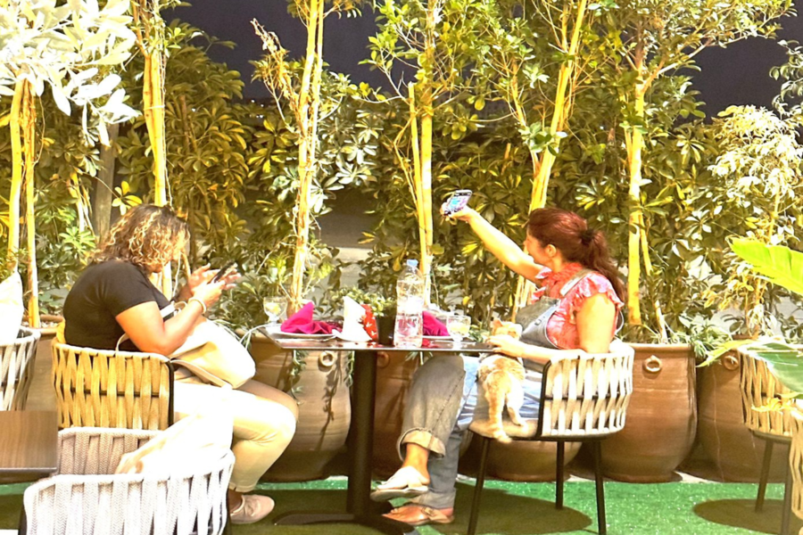 Kameelrijden bij zonsondergang in de Agafay-woestijn en diner in Chouf L'Or in Marrakech
