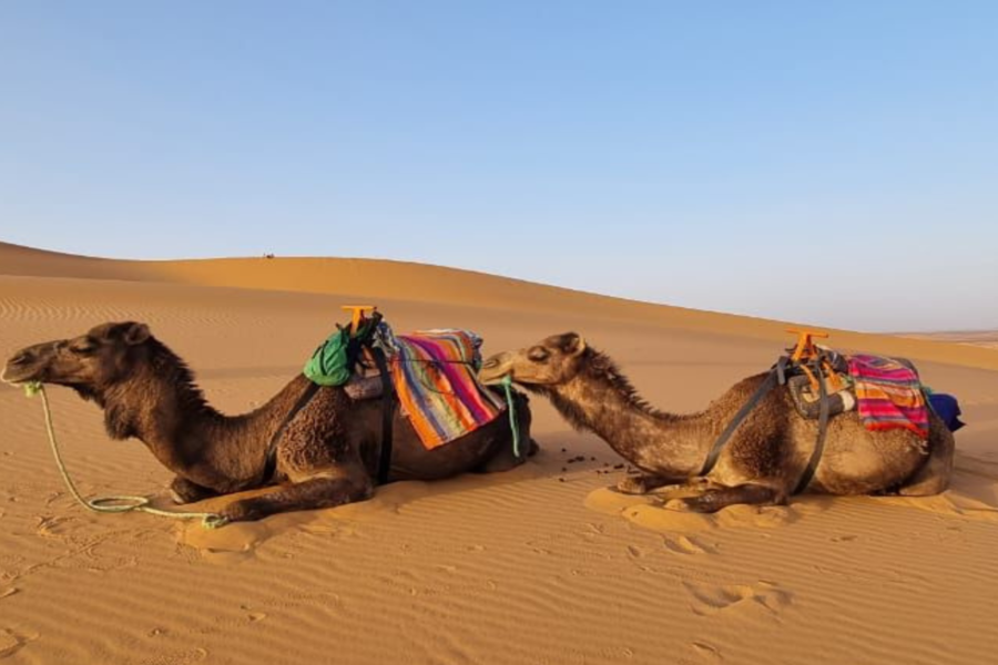Merzouga 3-daagse woestijnreis van Marrakech naar Fez