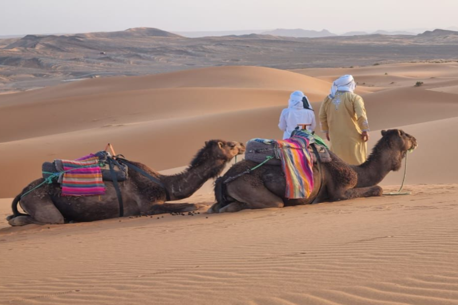 3-daagse woestijnervaring van Fes tot Marrakech
