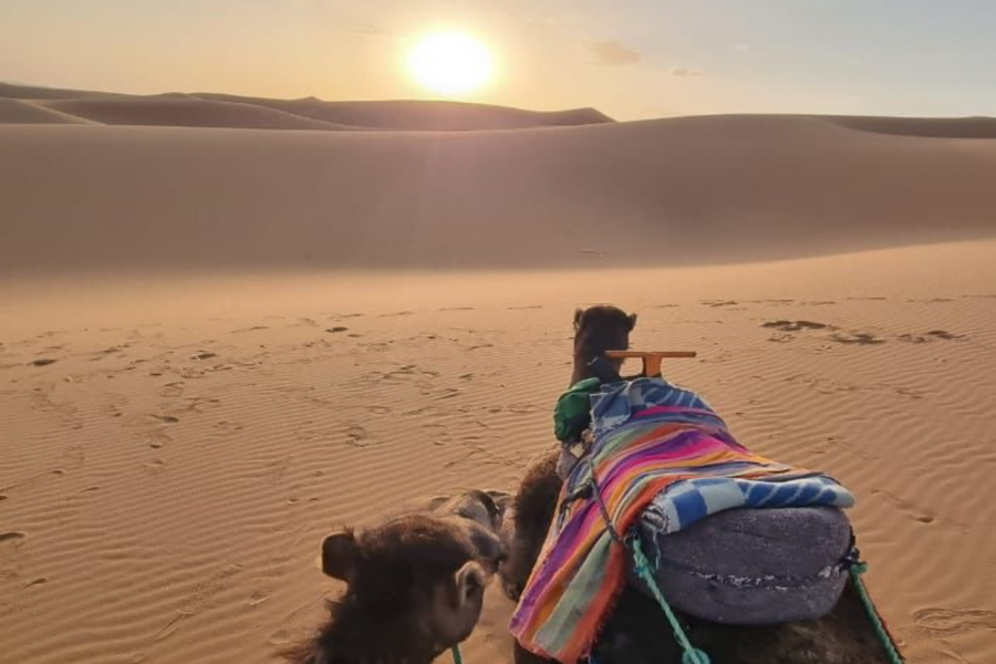 3-daagse woestijnervaring van Fes tot Marrakech