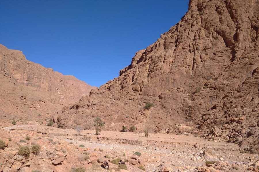 Privétour in de Merzouga-woestijn in halfpension vanuit Casablanca