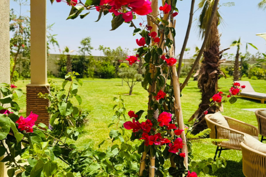 Marrakech Dagpas Zwembad Inclusief Lunch en Shuttle - ontspan