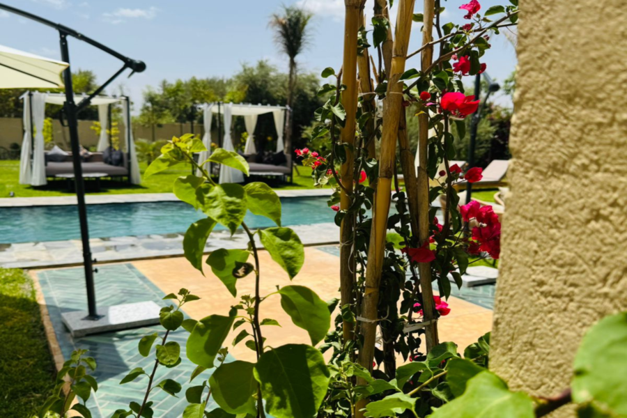 Marrakech Dagpas Zwembad Inclusief Lunch en Shuttle - ontspan