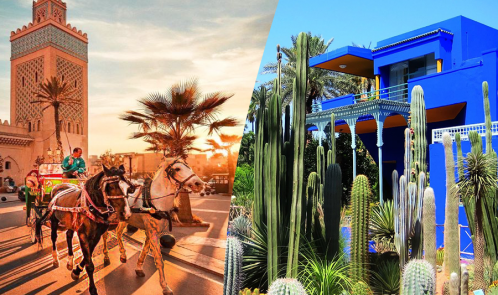 Een prachtige tocht met koets en bezoek aan Majorelle Garden