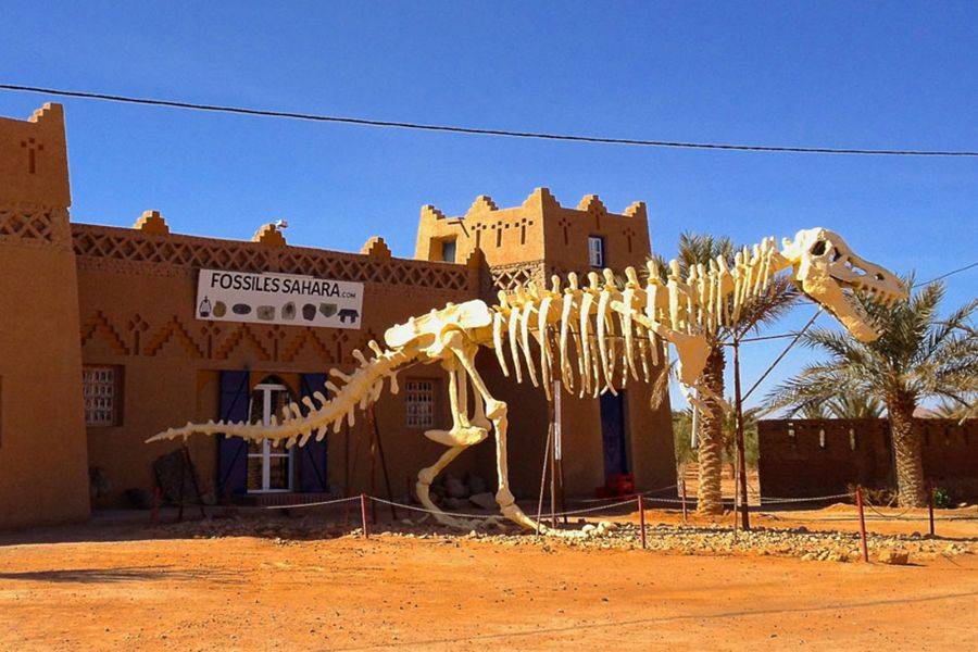 Fez 4-daagse woestijntour naar Marrakech