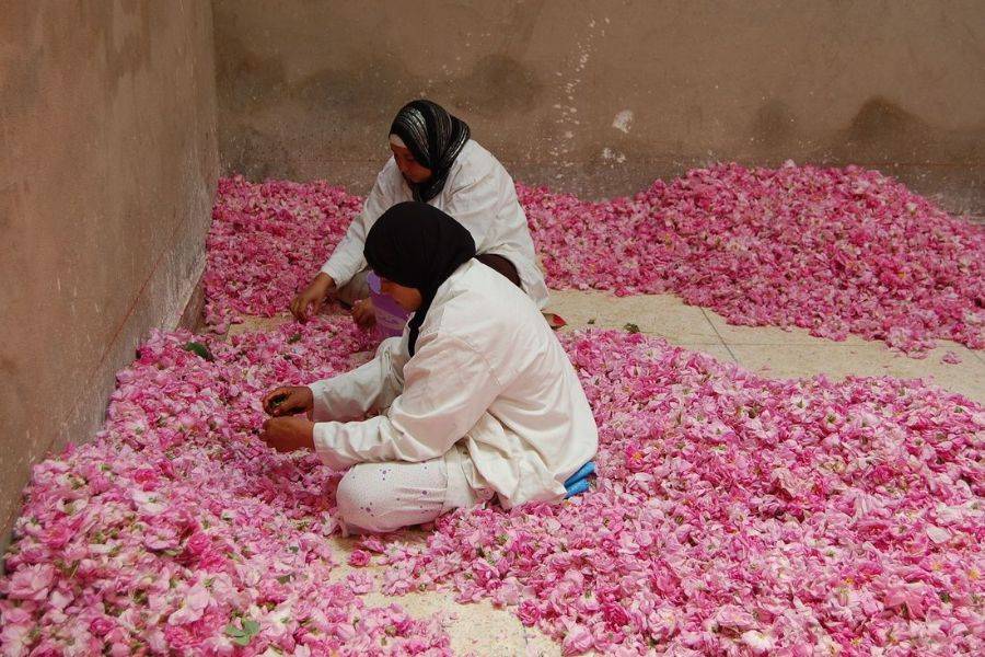 Fez 4-daagse woestijntour naar Marrakech