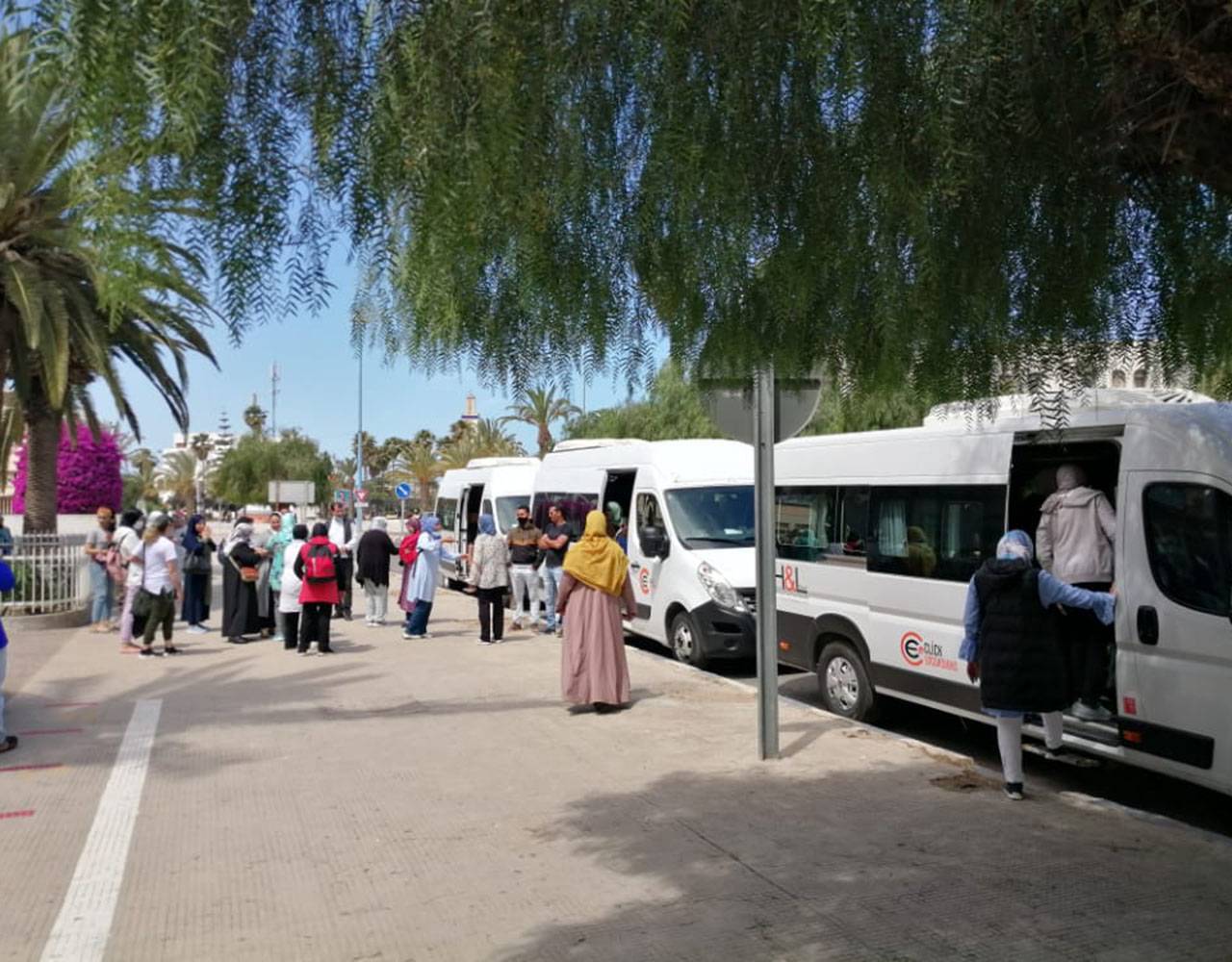 Dagtocht naar Safi & Oualidia