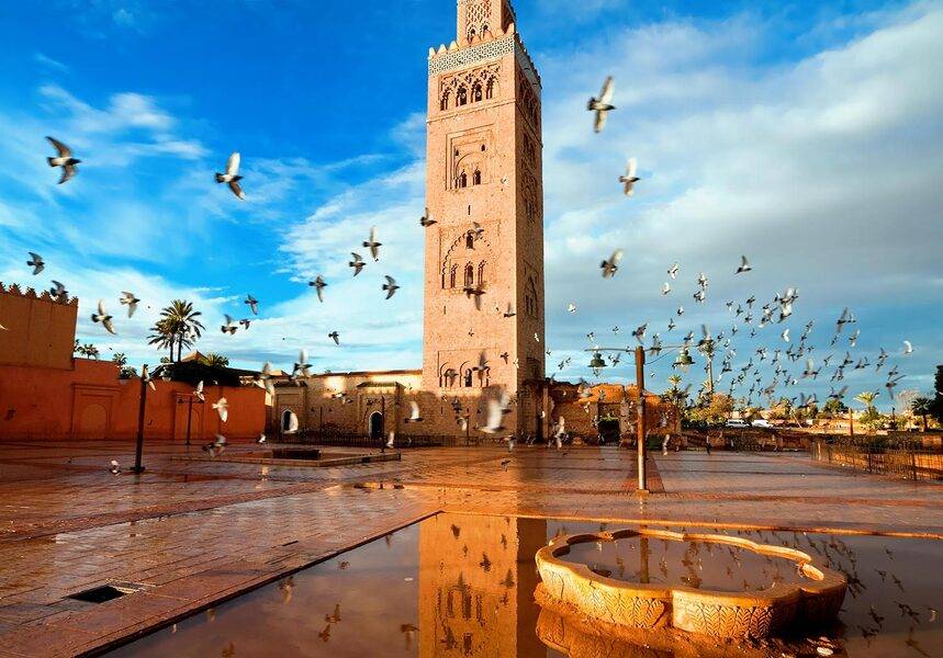 Historische tuinen en wallen van Marrakech Tour