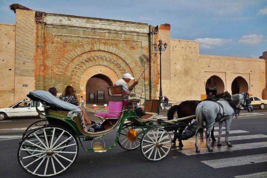 Mooie paardenkoets in Marrakech