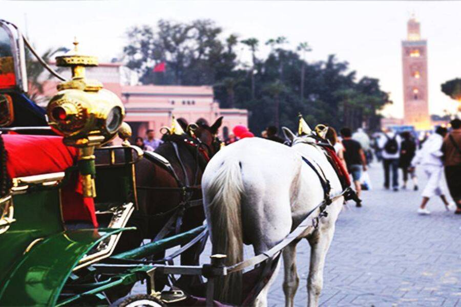 Mooie paardenkoets in Marrakech