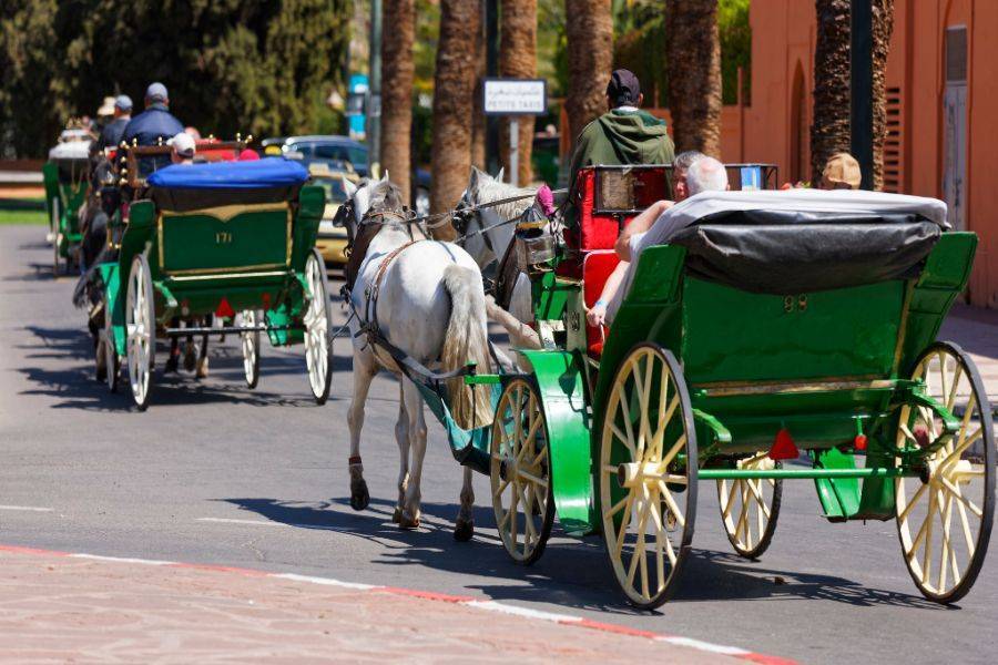 Mooie paardenkoets in Marrakech