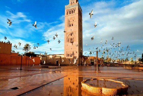 Historische tuinen en wallen van Marrakech Tour