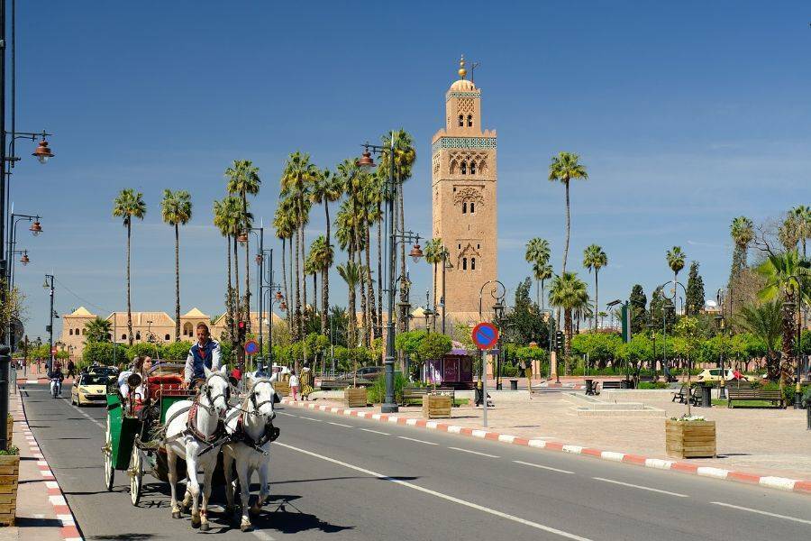 Historische tuinen en wallen van Marrakech Tour