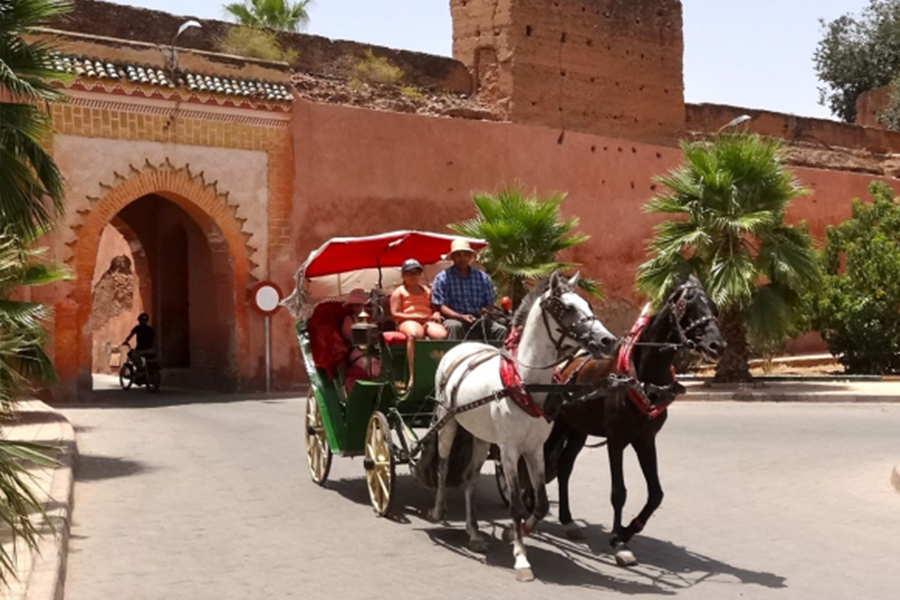 Mooie paardenkoets in Marrakech