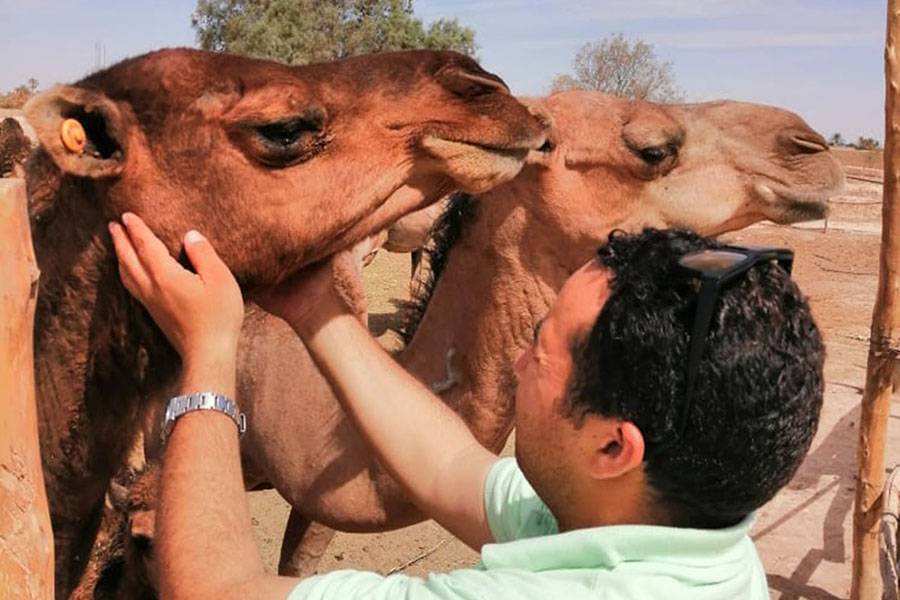 Desert Trip In Morocco (4 dagen)