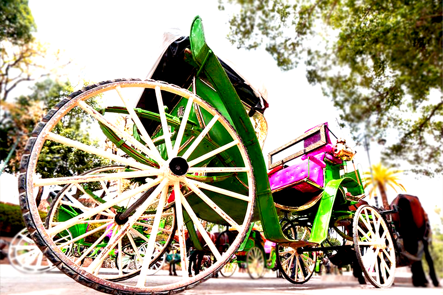 Mooie paardenkoets in Marrakech