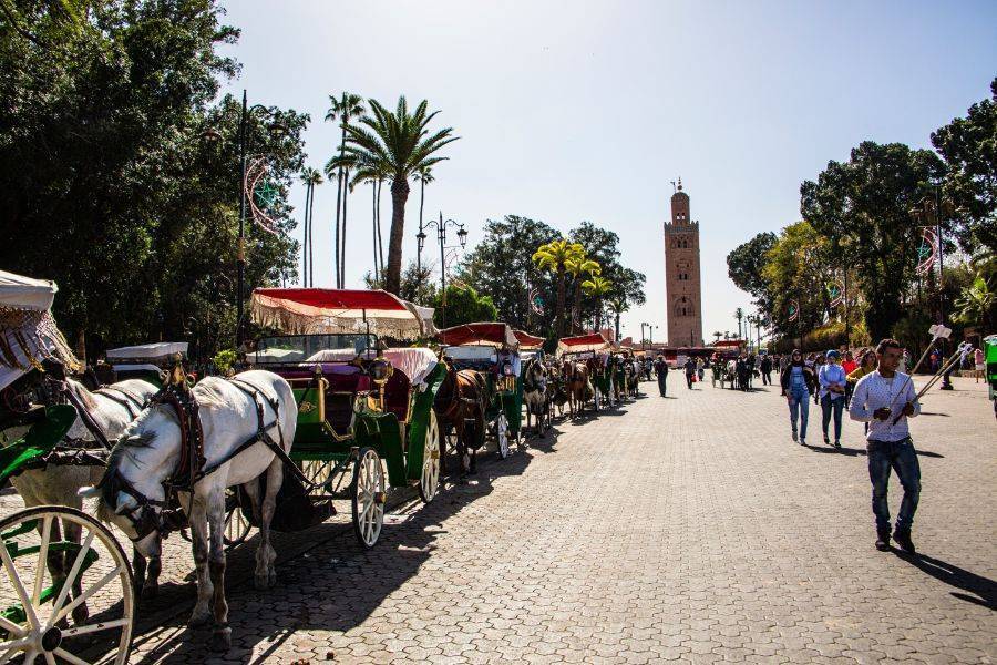 Mooie paardenkoets in Marrakech
