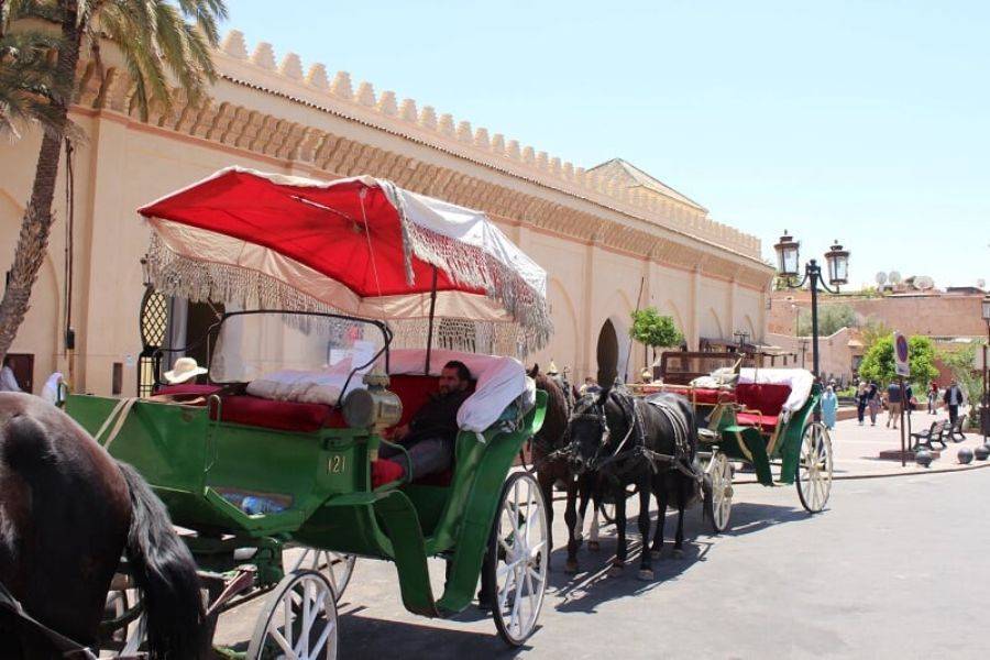 Mooie paardenkoets in Marrakech