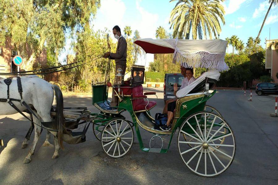 Mooie paardenkoets in Marrakech