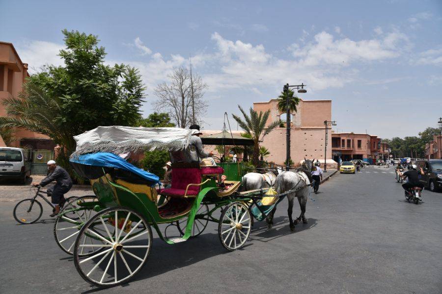 Mooie paardenkoets in Marrakech