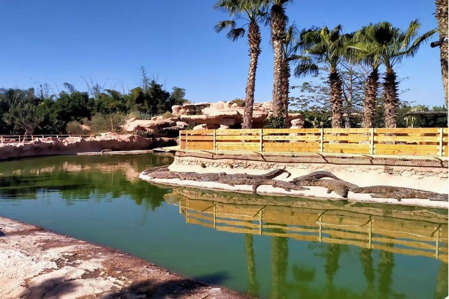 Dagtrip naar Agadir vanuit Marrakech
