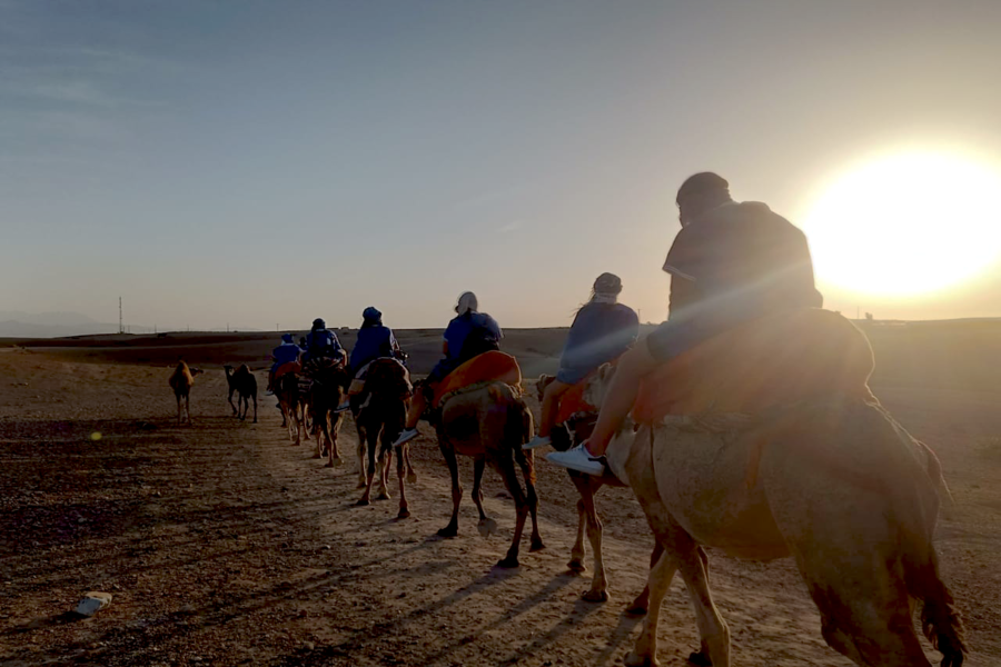 Kameelrijden bij zonsondergang in de Agafay-woestijn en diner in Chouf L'Or in Marrakech