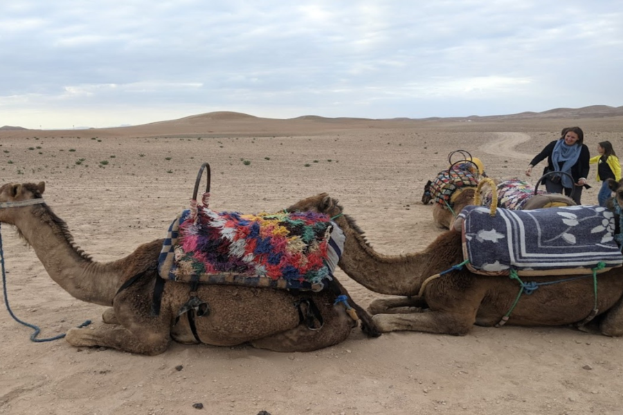 Agafay Night Desert Tour voor 2 dagen