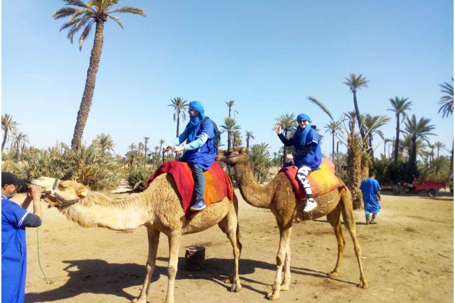 Kameelrijden in de Palmeraie van Marrakech