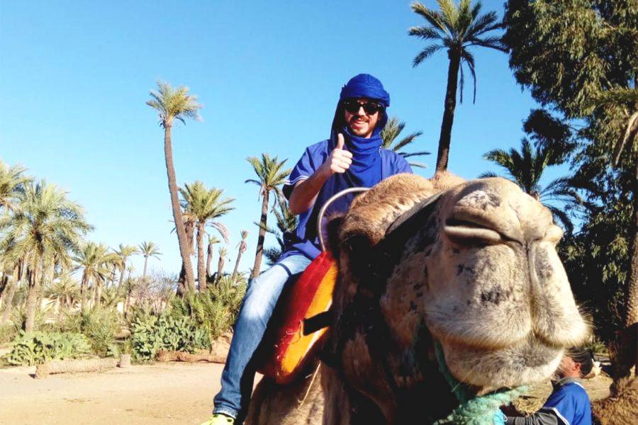 Buggy-, kameel- en spa-ervaring in Marrakech