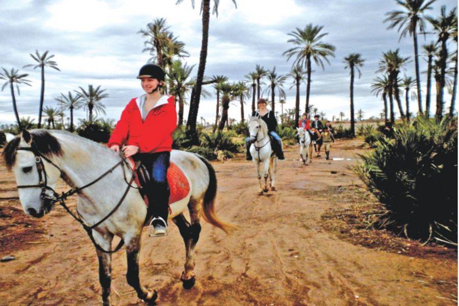 Paardrijden in Marrakech Palmeraie