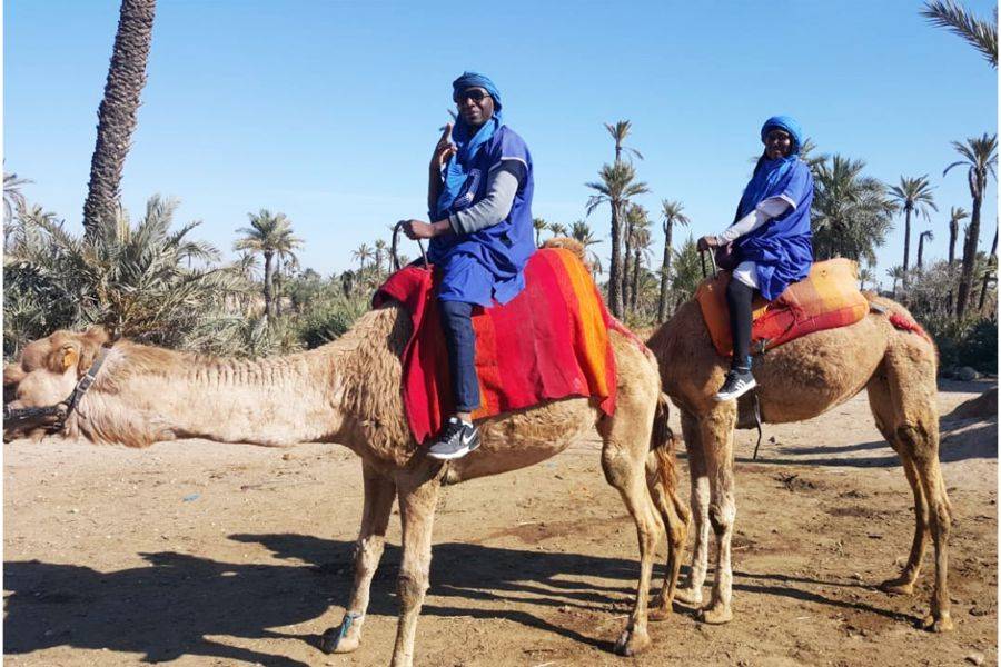Kameelrit en quad in Marrakech Palmeraie