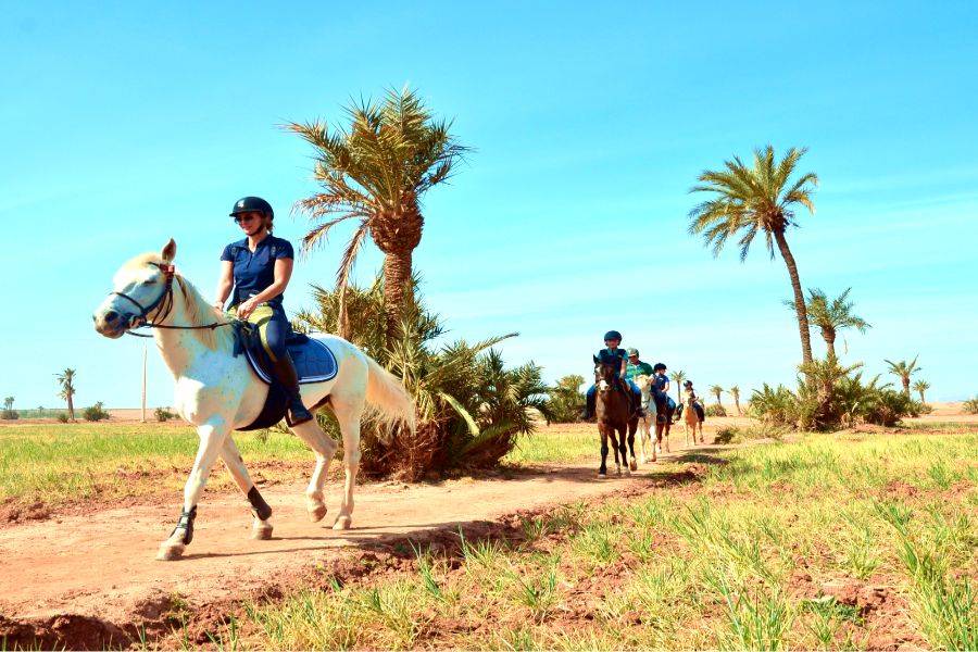 Paardrijden in Marrakech Palmeraie