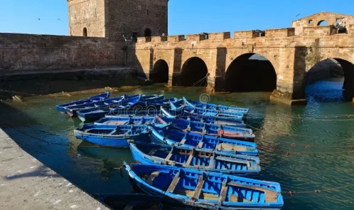 Eendaagse excursie naar Essaouira vanuit Marrakech