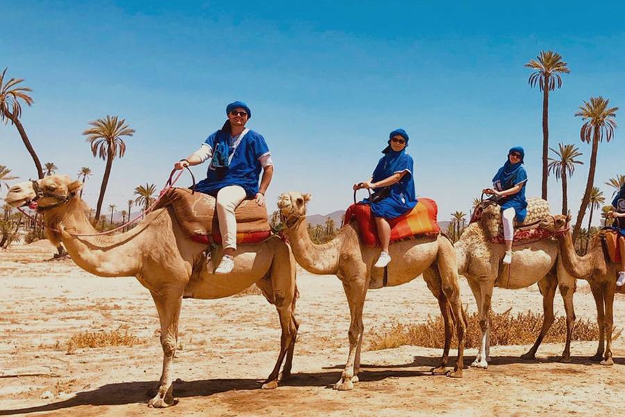 Kameelrijden in de Palmeraie van Marrakech