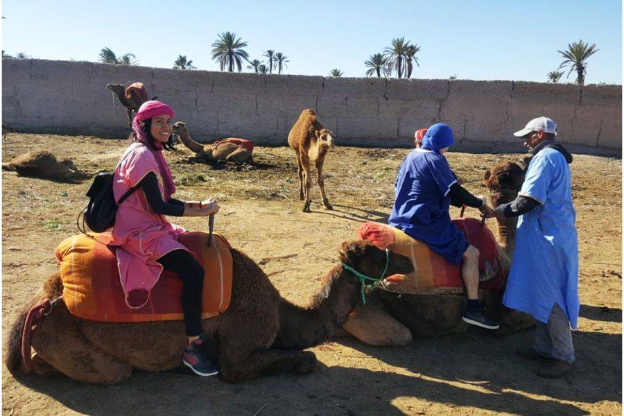 Kameelrit en quad in Marrakech Palmeraie