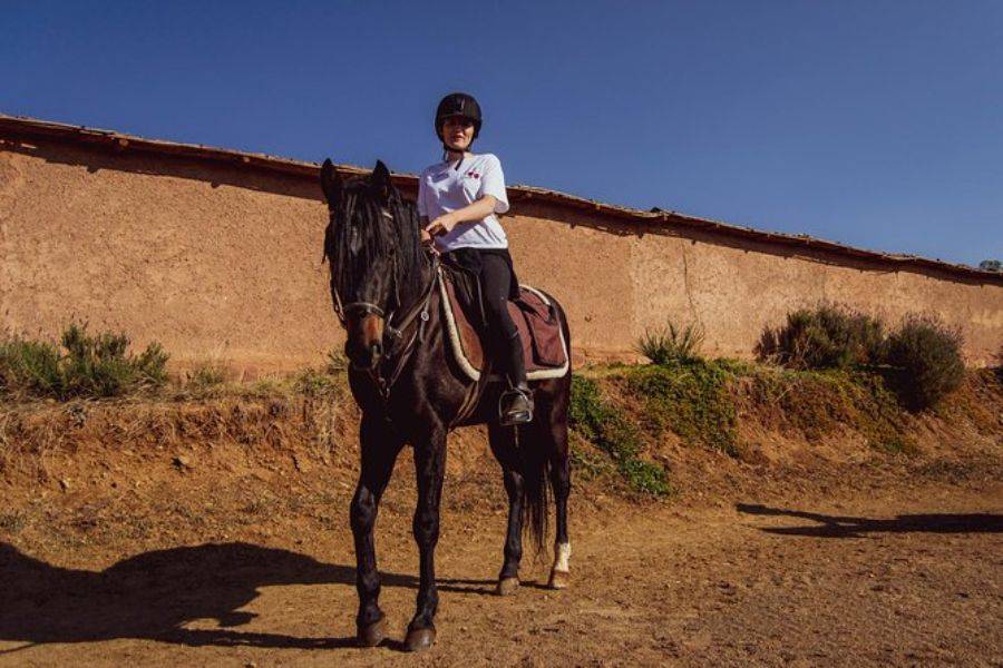 Paardrijden in Marrakech Palmeraie