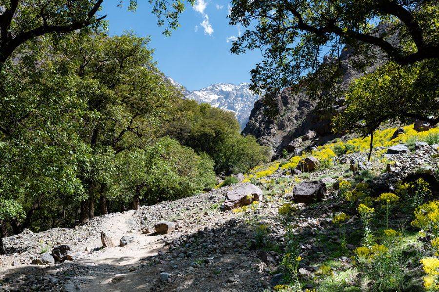 Excursie naar Asni & Imlil met een heerlijke lunch in Kasbah Toubkal