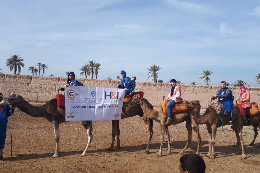 Kameelrijden in de Palmeraie van Marrakech