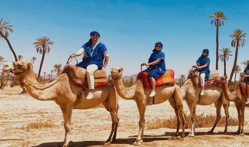 Kameelrijden in de Palmeraie van Marrakech