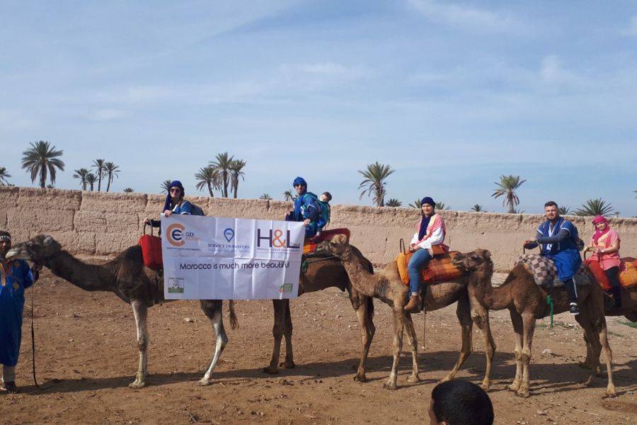 Kameelrijden in de Palmeraie van Marrakech