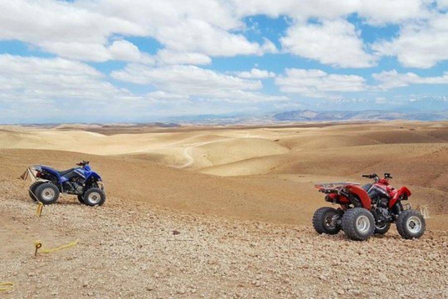 Camel Ride & Quad Bike Experience in Agafay Rocky Desert
