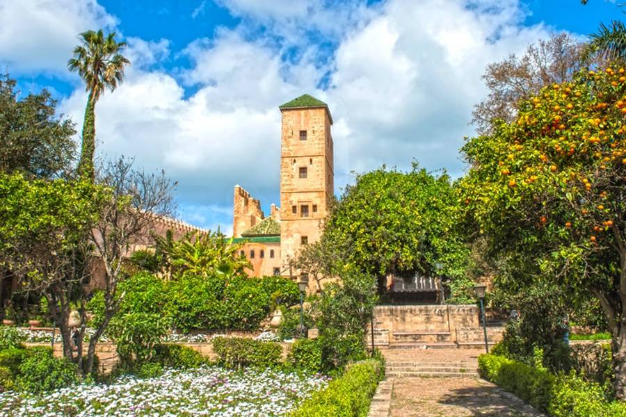 Privé dagtocht naar Rabat vanuit Casablanca