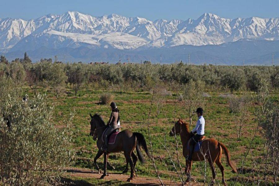 Paardrijden in Marrakech Palmeraie