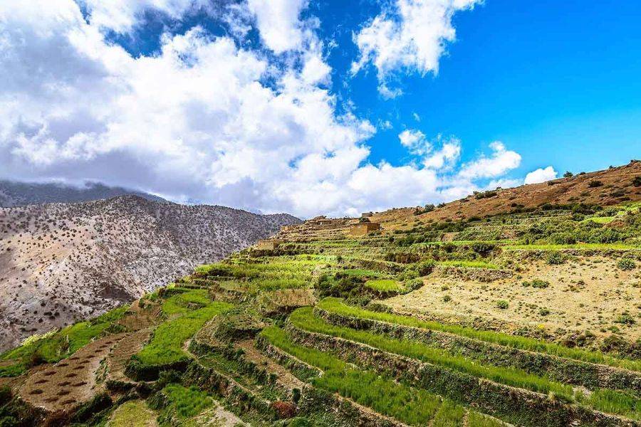 Excursie naar Asni & Imlil met een heerlijke lunch in Kasbah Toubkal